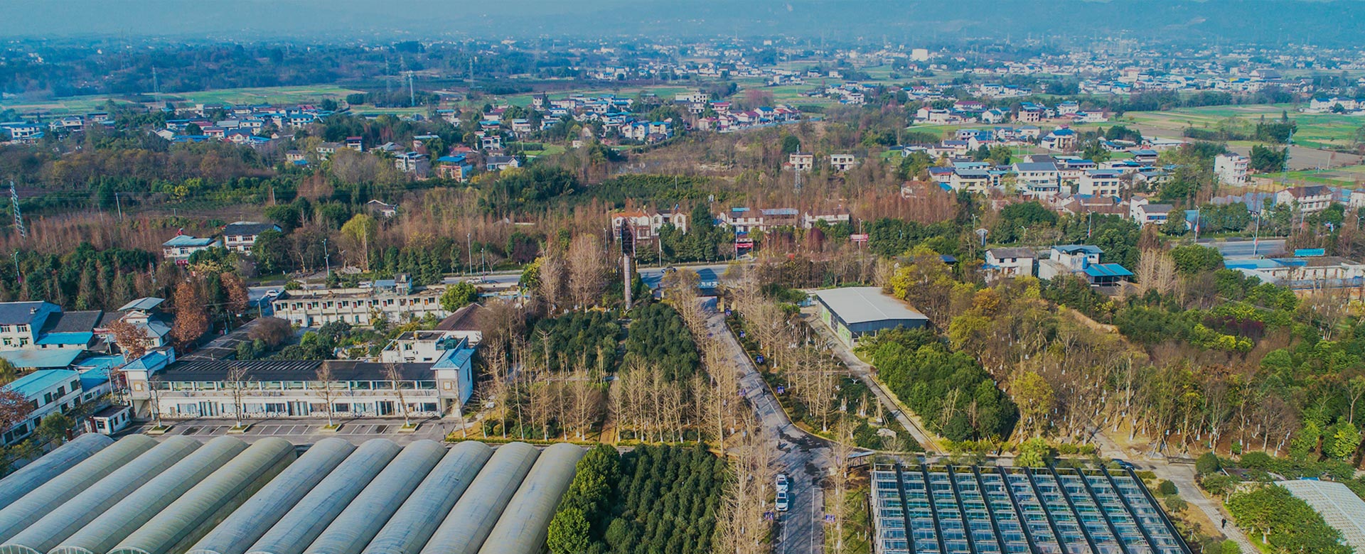 蔬菜品種育苗、示范推廣、基地種植、農(nóng)產(chǎn)品生產(chǎn)、加工 、銷(xiāo)售